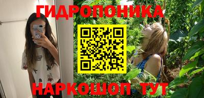 spice Бузулук