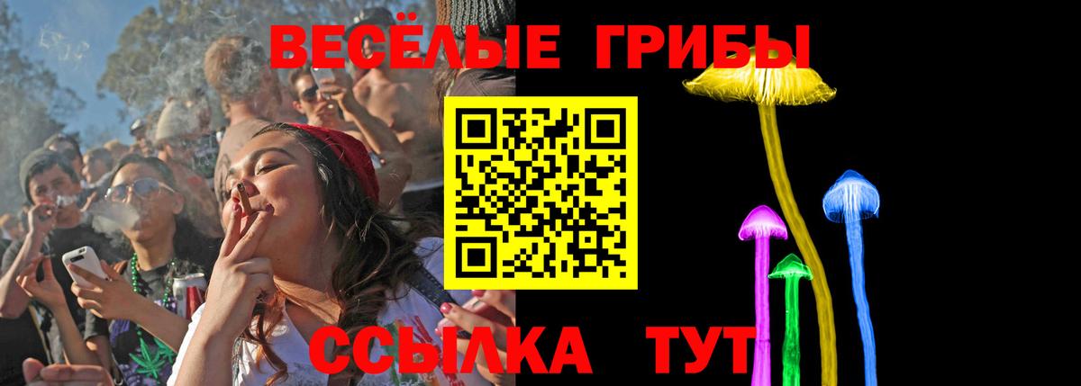 Галлюциногенные грибы прущие грибы Усть-Лабинск