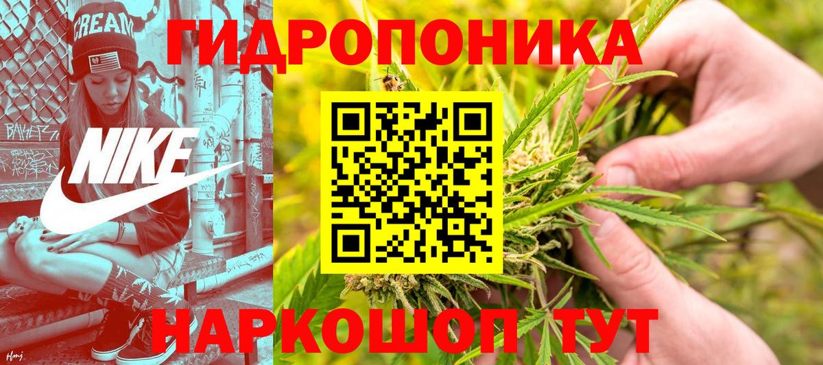 Конопля Bruce Banner  Вход с VPN  Конопля ГИДРОПОН  МАРИХУАНА сатива  Усть-Лабинск 
